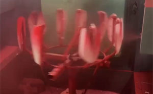 500×8 電動(dòng)車后視鏡噴漆20241214012